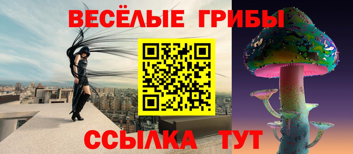закладки  Псилоцибиновые грибы мицелий  Вход с VPN  Псилоцибиновые грибы Psilocybine cubensis  Семилуки 