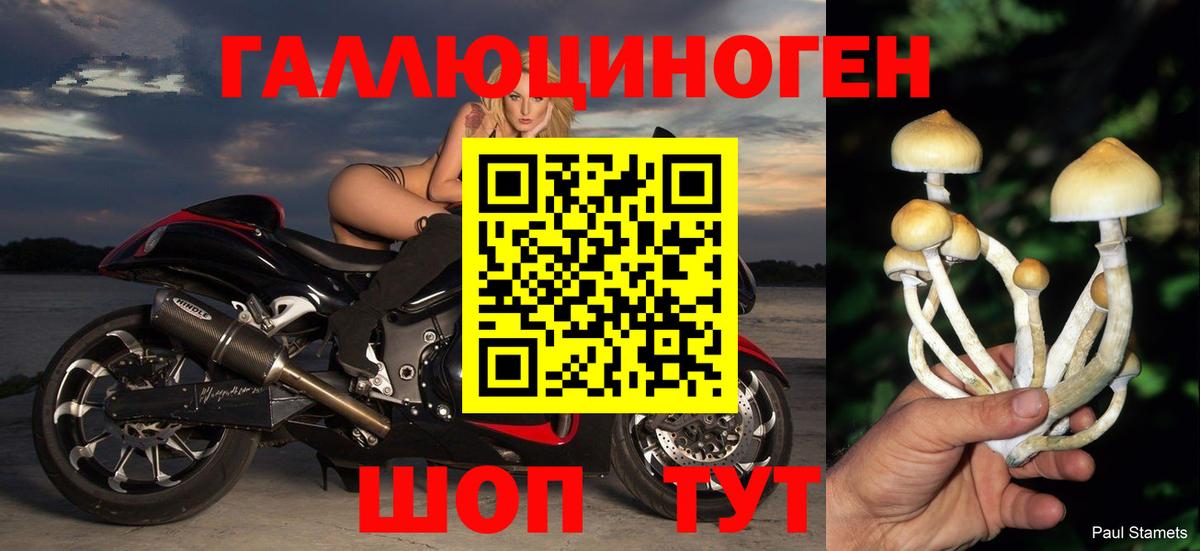 Псилоцибиновые грибы ЛСД Семилуки